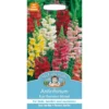 Mr. Fothergill's Antirrhinum Rust Resistant Mixed (Antirrhinum Majus) Seeds