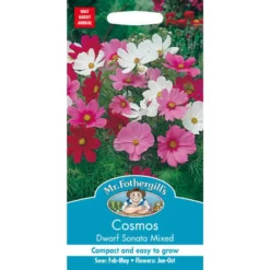 Mr. Fothergill's Cosmos Dwarf Sonata Mixed Seeds