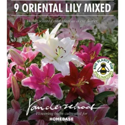 None Mixed Lilies - Summer Bloom Bulbs -Herbs Growing Sales Store 12810510 1415020398958920