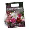 None Mixed Lilies - Summer Bloom Bulbs