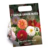 None Mixed Unwin Dahlia's - Summer Bloom Bulbs