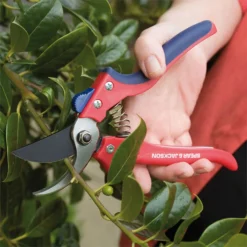 Spear & Jackson Razorsharp Bypass Secateurs -Herbs Growing Sales Store 12810686 6174833195317286