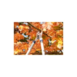 Spear & Jackson Razorsharp Tele Bypass Lopper -Herbs Growing Sales Store 12810811 1464833196929633