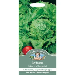 Mr. Fothergill's Lettuce Webbs Wonderful (Lactuca Sativa) Seeds
