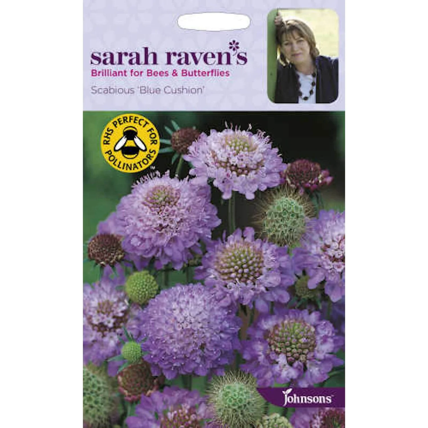 Sarah Ravens Scabious Blue Cushion Seeds 1 Sarah Ravens Scabious Blue Cushion Seeds