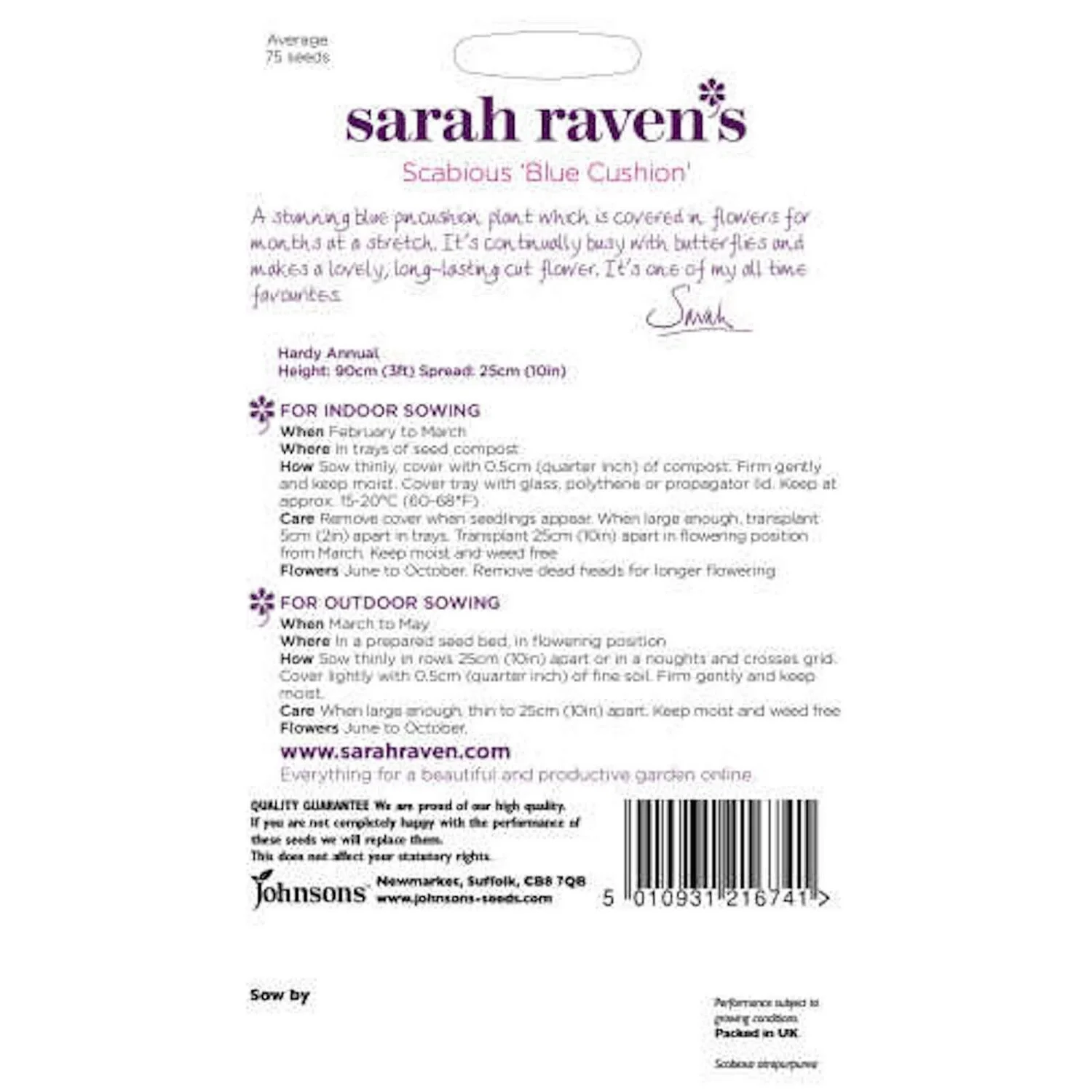 Sarah Ravens Scabious Blue Cushion Seeds 2 Sarah Ravens Scabious Blue Cushion Seeds - Image 2