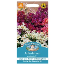 Mr. Fothergill's Antirrhinum Antiquity F1 Seeds