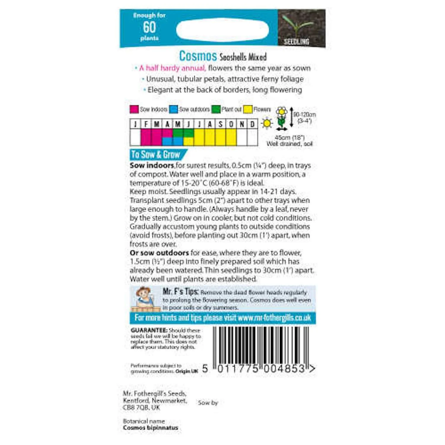Mr. Fothergill's Cosmos Seashells Mixed Seeds 2 Mr. Fothergill's Cosmos Seashells Mixed Seeds - Image 2