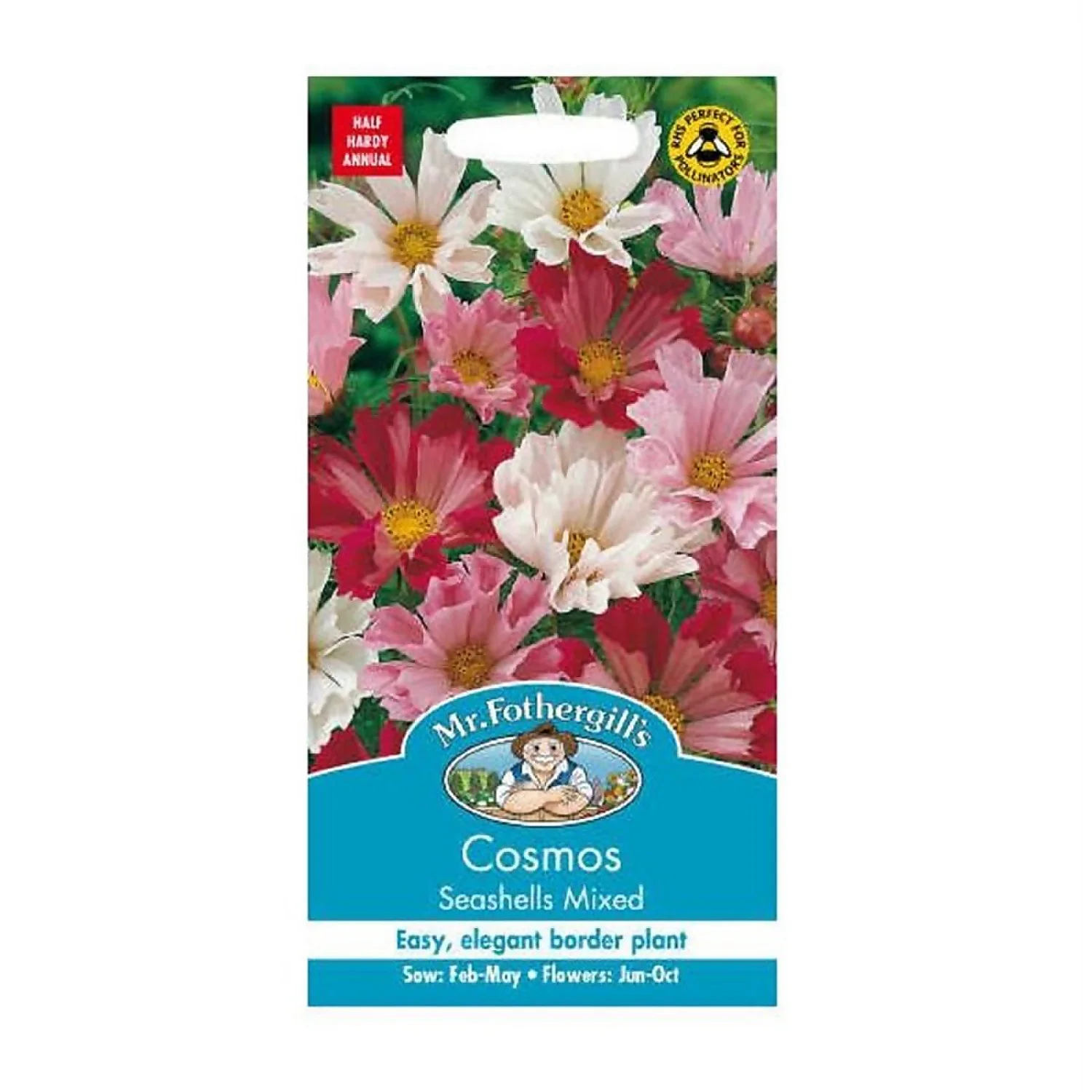 Mr. Fothergill's Cosmos Seashells Mixed Seeds 1 Mr. Fothergill's Cosmos Seashells Mixed Seeds