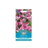 Mr. Fothergill's Sweet Pea Pandemonium Seeds