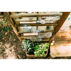 Plum Discovery Mud Pie Kitchen 15 Plum Discovery Mud Pie Kitchen -Herbs Growing Sales Store 12821520 5104957305187173