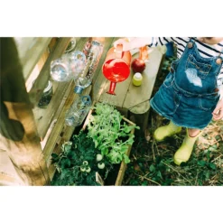 Plum Discovery Mud Pie Kitchen 13 Plum Discovery Mud Pie Kitchen -Herbs Growing Sales Store 12821520 7764957305110193