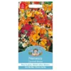 Mr. Fothergill's Nemesia Carnival Mixed Seeds