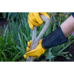 Westland Luxury Leather Gauntlet Gloves 5 Westland Luxury Leather Gauntlet Gloves -Herbs Growing Sales Store 12835847 2395012509238073