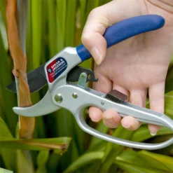 Spear & Jackson Razorsharp Secateurs With Loop Handle -Herbs Growing Sales Store 12836152 1794833222720663