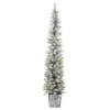 6ft Slim Flocked Pre-lit Potted Christmas Tree