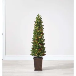 Herbs Growing Sales Store -Herbs Growing Sales Store 12840308 1524893292317042