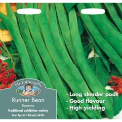 Mr. Fothergill's Runner Bean Stringless Enorma (Phaseolus Coccineus) Seeds