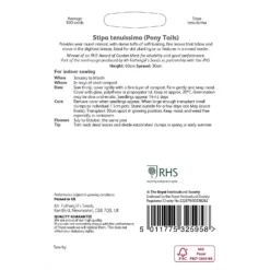 RHS Stipa Tenuimmia Pony Tails Seeds -Herbs Growing Sales Store 12882727 1204843575073071