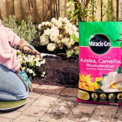 Miracle Gro Premium Azalea, Camellia & Rhododendron Ericaceous Compost - 40L -Herbs Growing Sales Store 12882812 1004843671886080
