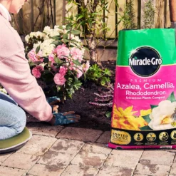Miracle Gro Premium Azalea, Camellia & Rhododendron Ericaceous Compost - 40L -Herbs Growing Sales Store 12882812 1404843671956442