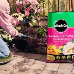 Miracle Gro Premium Azalea, Camellia & Rhododendron Ericaceous Compost - 40L -Herbs Growing Sales Store 12882812 1924843671918789