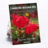 None Hanging Begonia Red