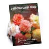 None Begonia Samba Mixed