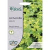 RHS Alchemilla Mollis