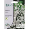 RHS Ammi Majus