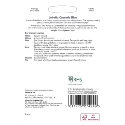 RHS Lobelia Cascade Blue -Herbs Growing Sales Store 12884790 1074843468982241