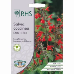 RHS Salvia Coccinea Lady In Red