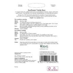 RHS Sunflower Teddy Bear -Herbs Growing Sales Store 12884808 1514843469940567