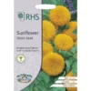 RHS Sunflower Teddy Bear