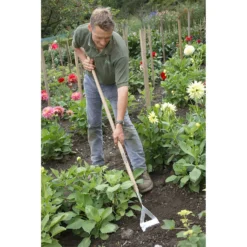 Spear & Jackson Traditional Stainless Dutch Hoe -Herbs Growing Sales Store 12884830 7254843480481706
