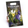 None Dutch Iris Mixed