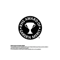 Bamboo Gold Phyllostachys Aureosulcata Aurea 10L -Herbs Growing Sales Store 12892481 9794843901569623