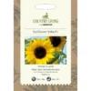 Country Living Sunflower Soleo F1 Seeds