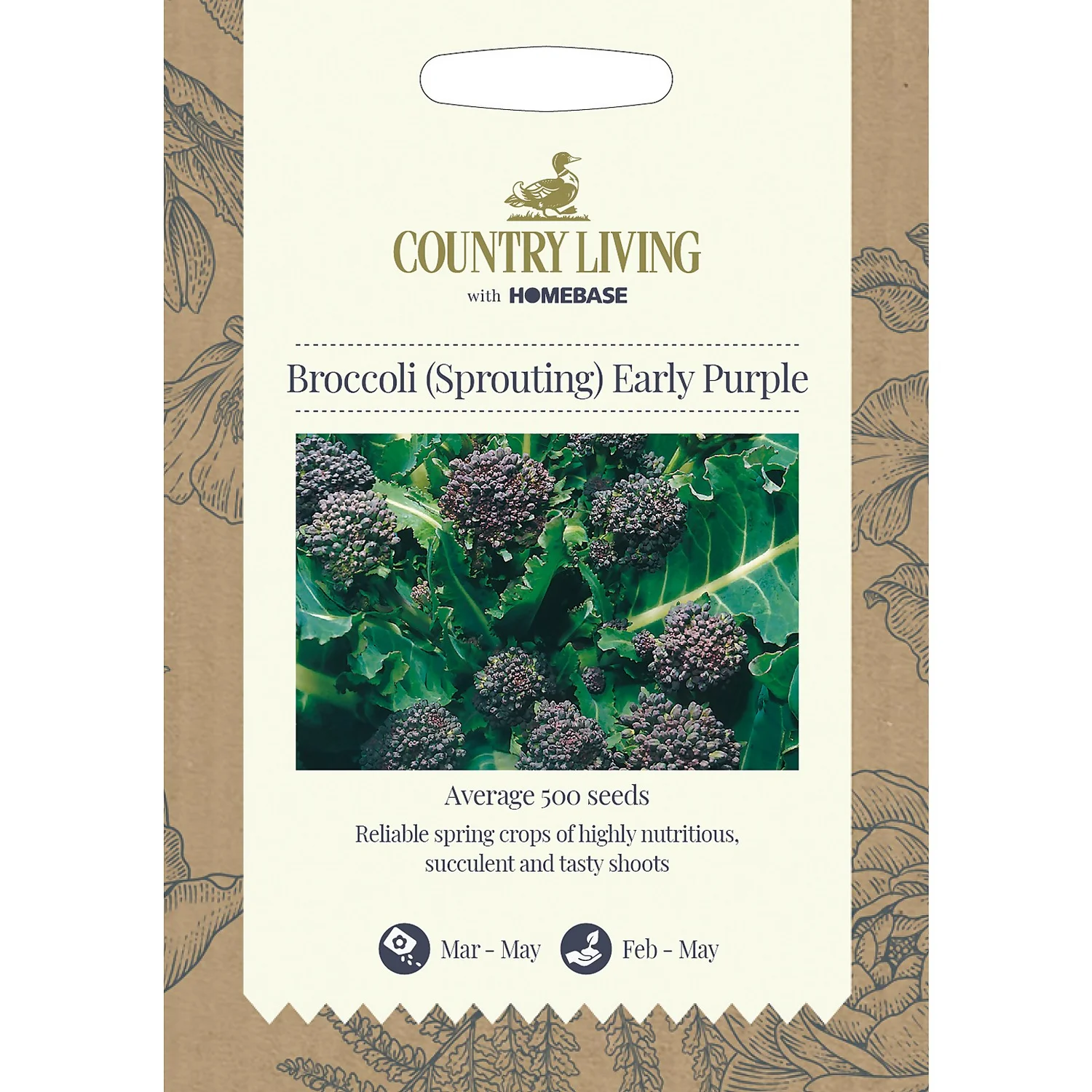 Country Living Broccoli Sprouting Early Purple Seeds 1 Country Living Broccoli Sprouting Early Purple Seeds