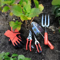 House Beautiful Gardening Gloves - Orange & Black -Herbs Growing Sales Store 13188715 1074928026783356