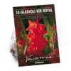 None Gladioli Kir Royal Flower Bulbs