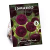 None Pompon Dahlia Rocco Flower Bulbs