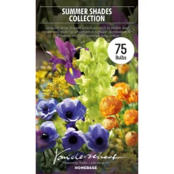 None Summer Shades Flower Bulb Collection -Herbs Growing Sales Store 13436292 5715022448218189