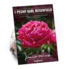 Peony Karl Rosenfield Flower Bulb