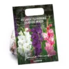 45 Large Flowering Gladioli Mixed