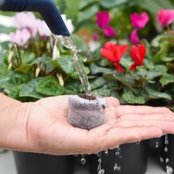 Coco & Coir Seed Germination Dots - 40mm -Herbs Growing Sales Store 13487129 3894919981363337