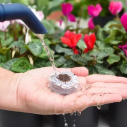 Coco & Coir Seed Germination Dots - 40mm -Herbs Growing Sales Store 13487129 7814919981385408