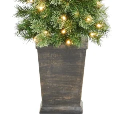 5ft Cashmere Potted Pre-lit Artificial Christmas Tree 10 5ft Cashmere Potted Pre-lit Artificial Christmas Tree -Herbs Growing Sales Store 13675460 5564991307565926