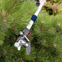 Spear & Jackson Telescopic Pruner - 3.4m -Herbs Growing Sales Store 13991766 1094996464937188