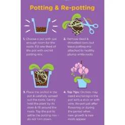 Westland Orchid Potting Mix Peat Free 8L -Herbs Growing Sales Store 14013784 4815003754410304